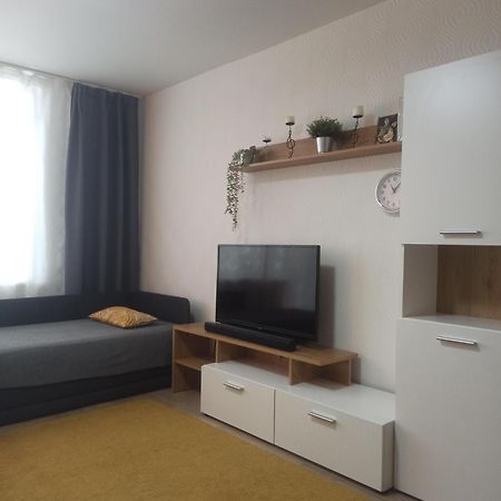 Lake Apartment ヴィサギナス エクステリア 写真