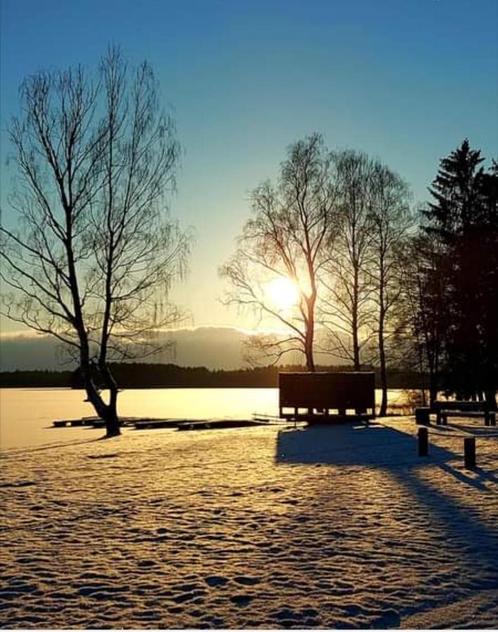 Lake Apartment ヴィサギナス エクステリア 写真